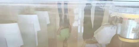 石材病變如何處理？